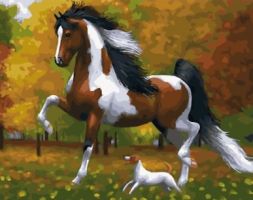 Иллюстрация Картина по номерам 40х50 см/ Пятнистая лошадь GX 32707
