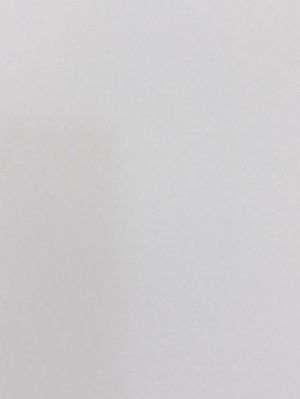 Иллюстрация Кардсток Холст/ БЕЛЫЙ - картон 235 гр/м2, 30.5х30.5 см